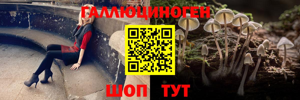 Галлюциногенные грибы MAGIC MUSHROOMS Новочебоксарск