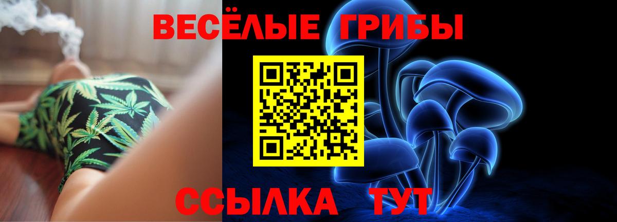 Галлюциногенные грибы Psilocybe  Псилоцибиновые грибы мицелий  Новочебоксарск  Вход с VPN 